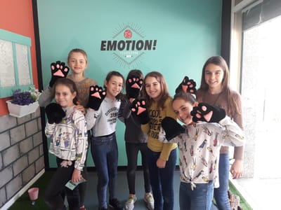 Activity - Emotion Party - The Cat